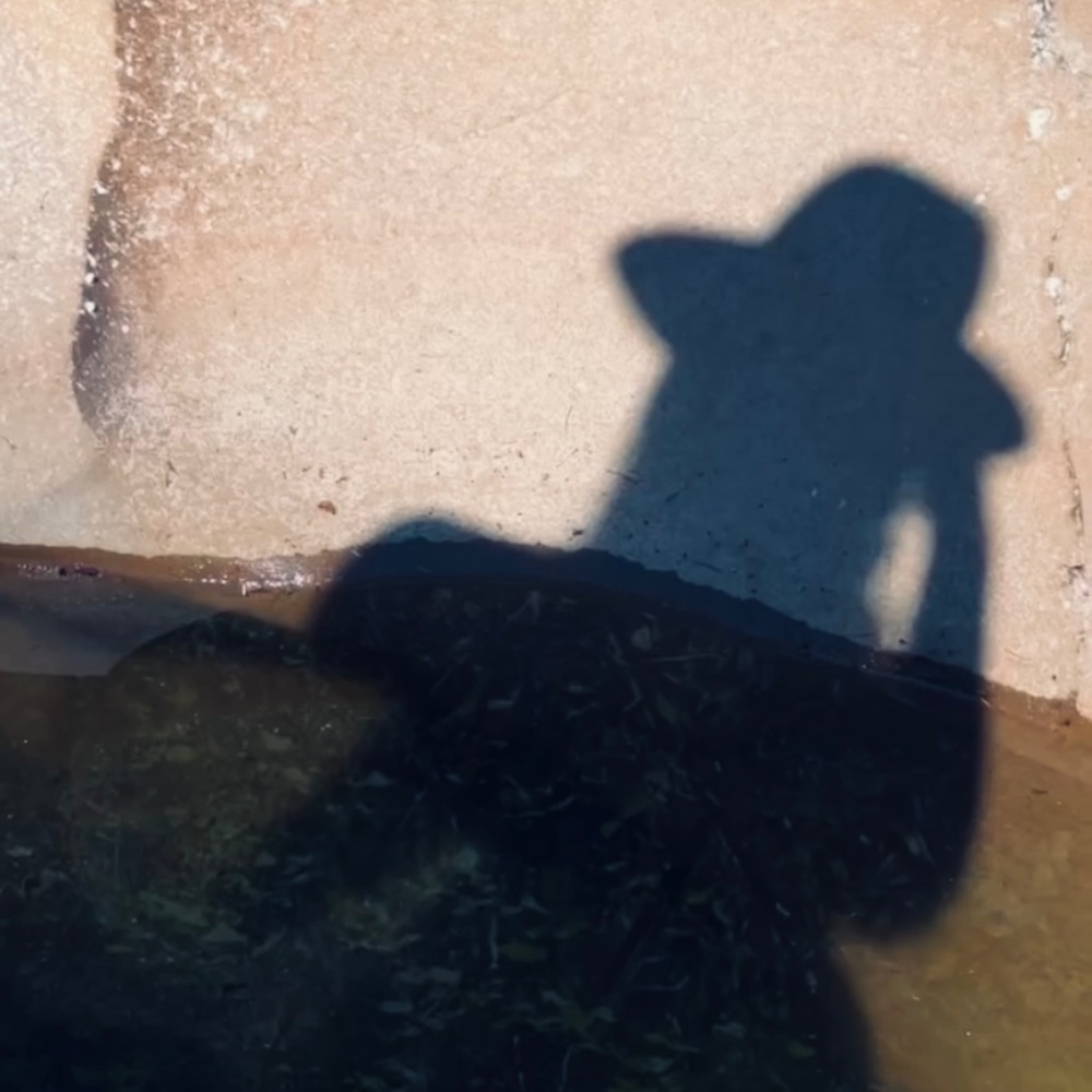 Meet your Posher, Kaitlin